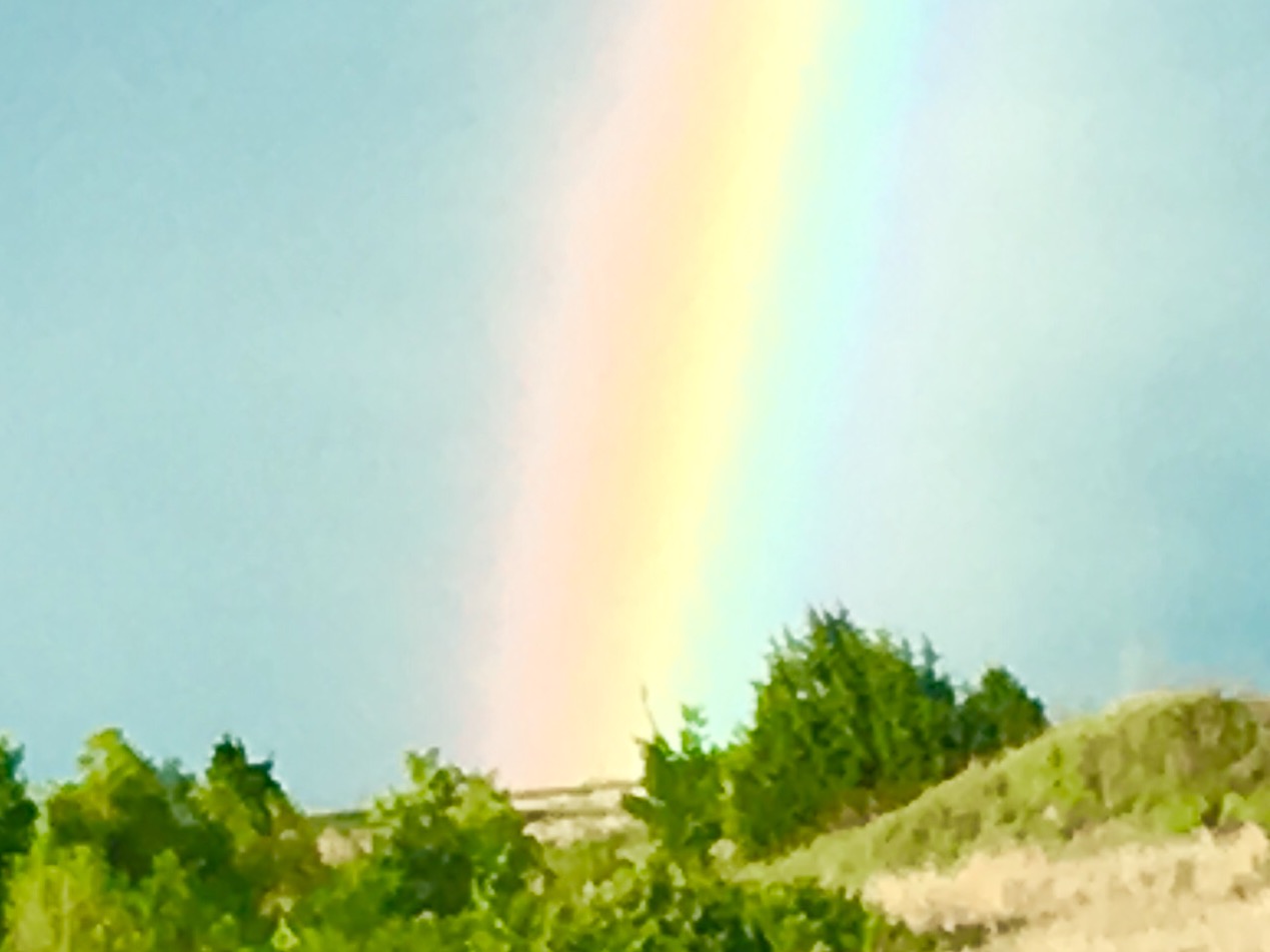 A rainbow is seen in the sky over some trees.